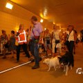 IMG_1553601