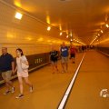 IMG_1553716