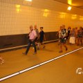 IMG_1553737