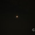 IMG_1554009