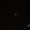 IMG_1554015