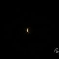 IMG_1554021