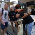 IMG_1554203