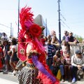 IMG_1554865