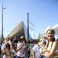 IMG_1555095