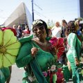 IMG_1555161