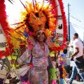 IMG_1555707