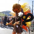 IMG_1556023