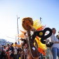 IMG_1556027