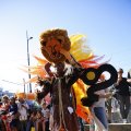 IMG_1556029