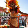 IMG_1556198