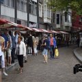 DSC028_12.08.2018