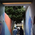 DSC080_12.08.2018