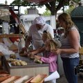 DSC090_12.08.2018