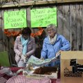 DSC014_25.08.2018