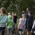 DSC043_12.09.2018
