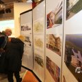 IMG_1562527