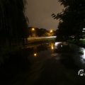 IMG_1563085