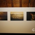 IMG_1563197