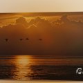 IMG_1563201
