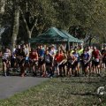 IMG_1565710