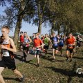 IMG_1565719