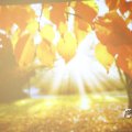 IMG_1574199