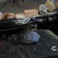 IMG_1587079
