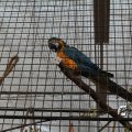 IMG_1587081