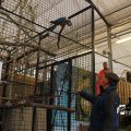 IMG_1587100