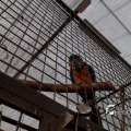 IMG_1587111
