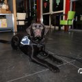 IMG_1585051