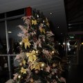 IMG_1585053
