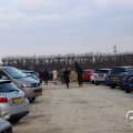 IMG_1584854