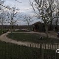 IMG_1584865
