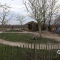IMG_1584868