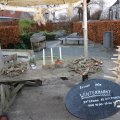 IMG_1584878
