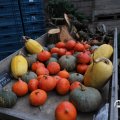 IMG_1584917