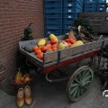 IMG_1584919