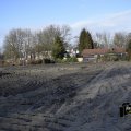 DSC008_09.01.2019