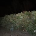 IMG_1589958