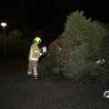 IMG_1589962