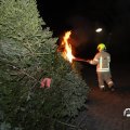 IMG_1589983