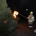 IMG_1589986