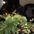 IMG_1591336
