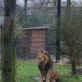 IMG_1592802