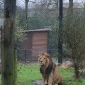 IMG_1592803
