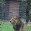 IMG_1592804