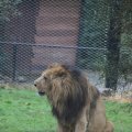 IMG_1592805