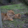 IMG_1592810